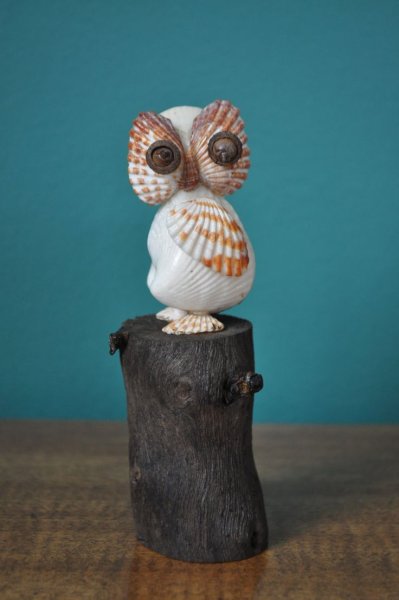 Сова из ракушек