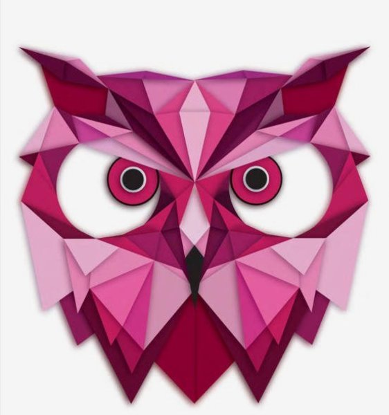 Сова геометрия