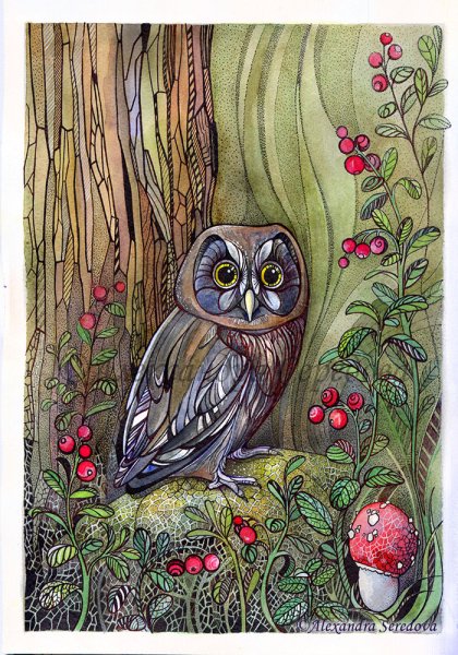 Сова в дупле рисунок для детей