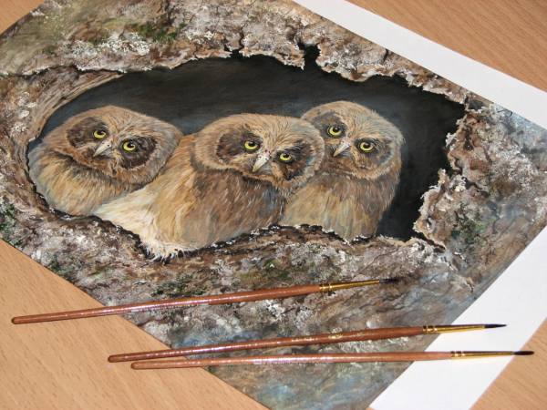 Три Совы в дупле