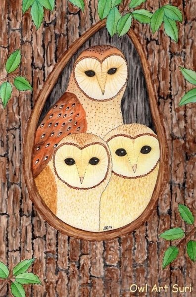 Сова в дупле для детей