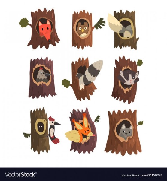 Аппликация белка в дупле