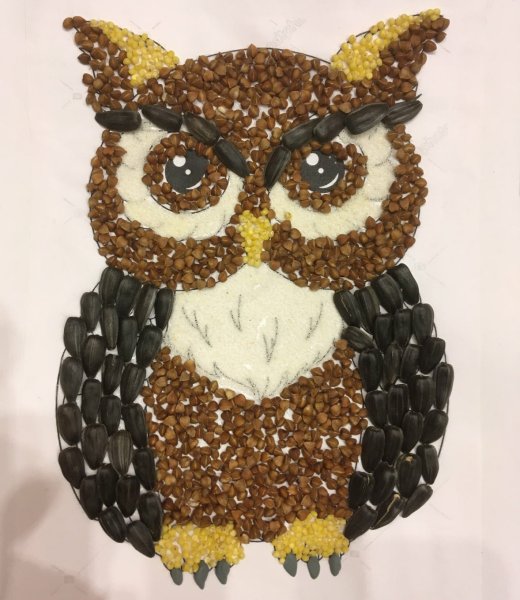 Сова из крупы