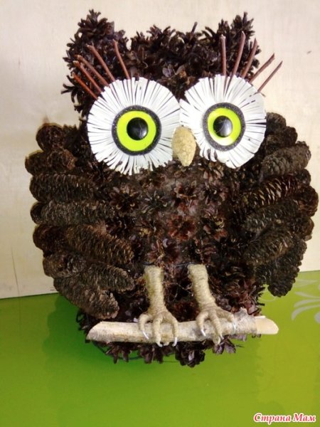 Сова из шишек поделка в садик
