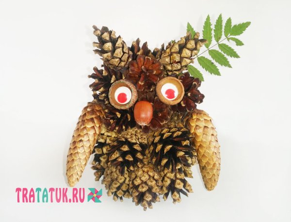 Поделки из шишек