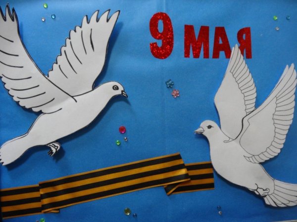 Голубь мира к 9 мая