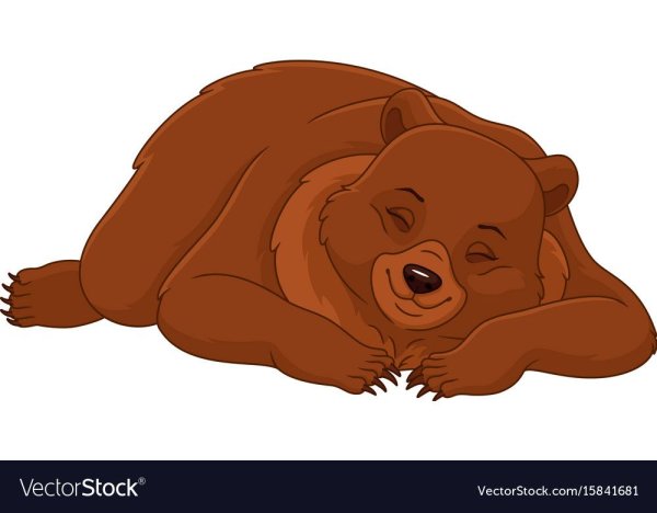 Sleepy Bear cartoon