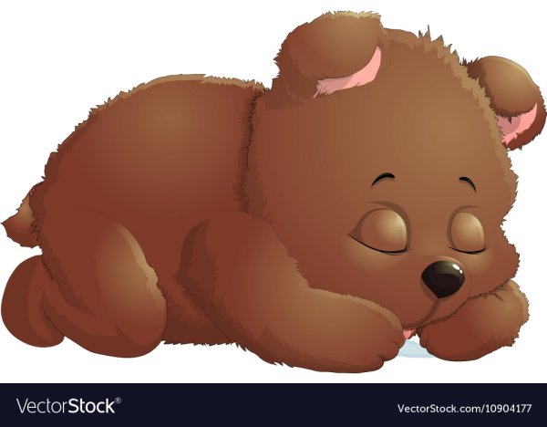 Медведь спит картинка для детей