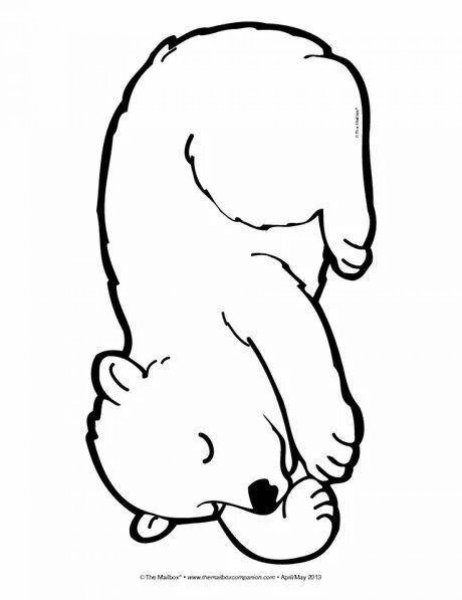 Спящий медведь раскраска для детей