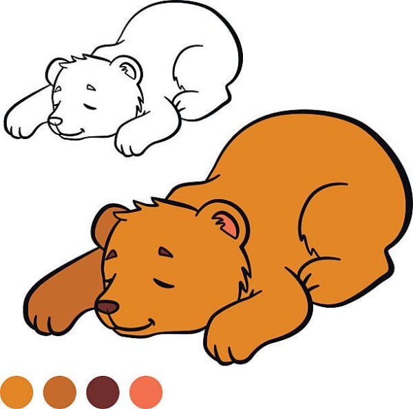 Мишка в берлоге раскраска