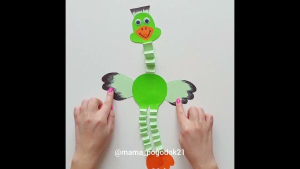 Аппликация страус