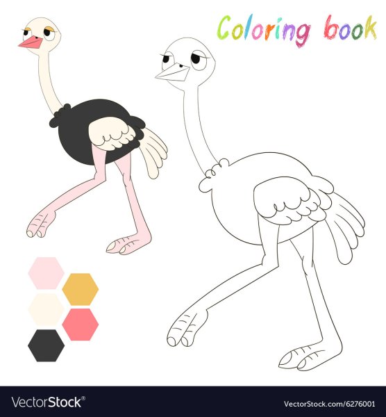 Страус раскраска для детей