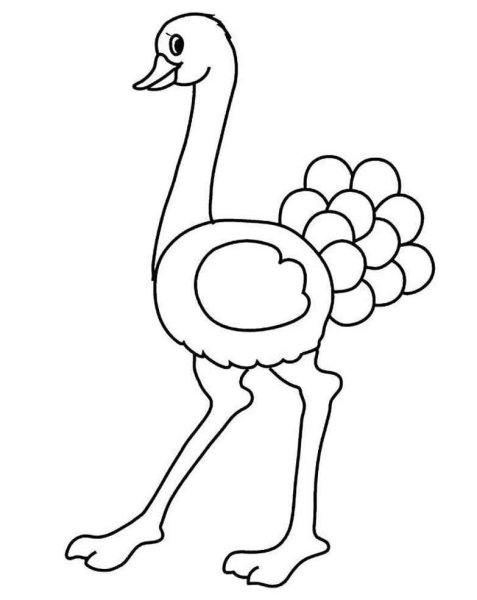 Страус раскраска