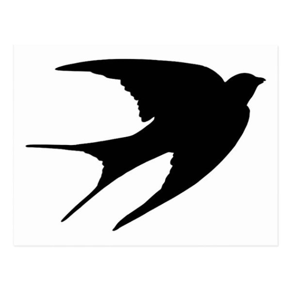 Силуэт птицы в полете