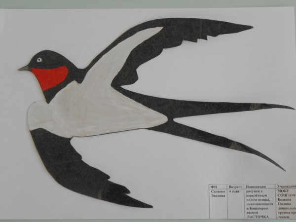 Аппликация Ласточка