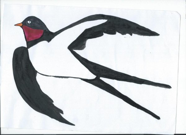 Ласточка рисунок для детей