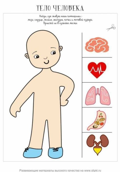 Аппликация тело человека