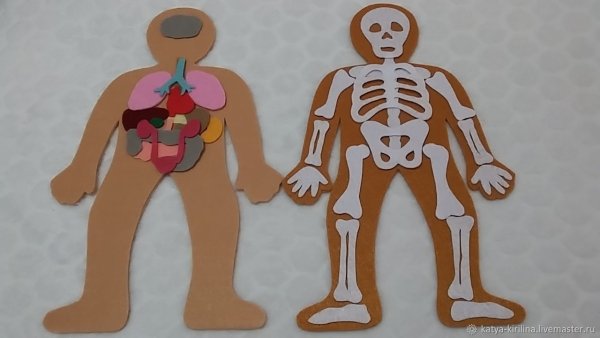 Аппликация человек