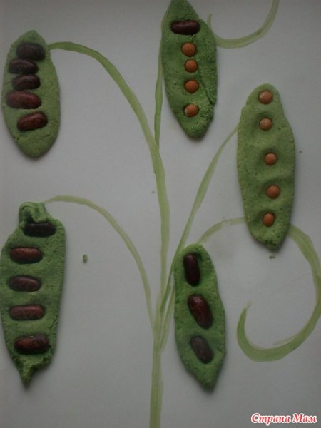 Аппликация горох