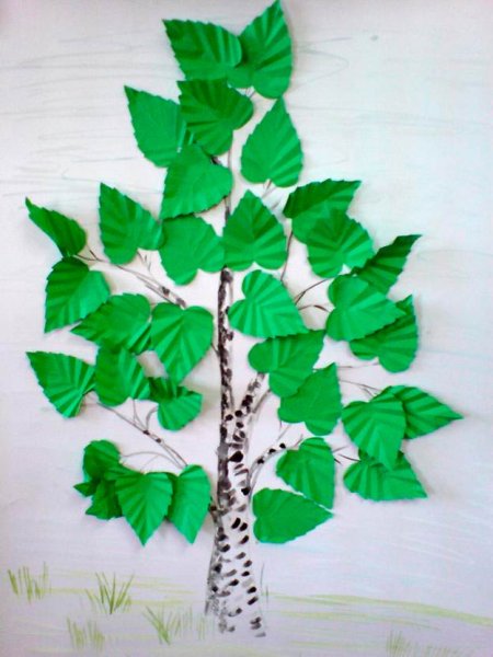 Береза объемная