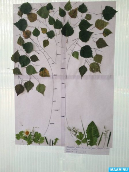 Поделка береза