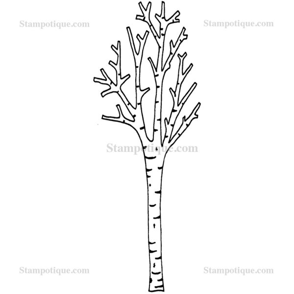 Береза раскраска для детей без листьев