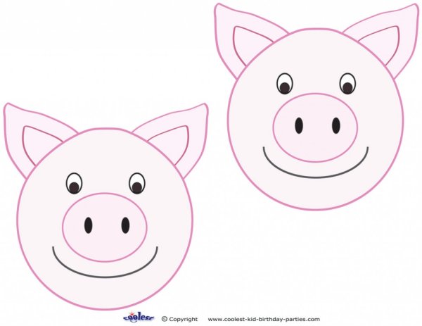 Морда свиньи