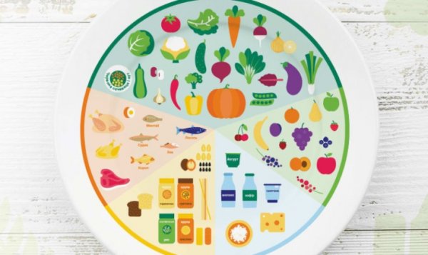 Тарелка правильного питания рисунок
