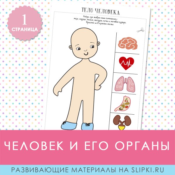 Аппликация для детей тело человека