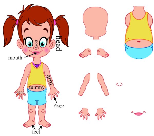 Части тела для детей