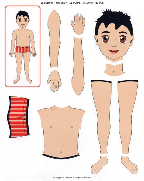 Человек части тела для дошкольников