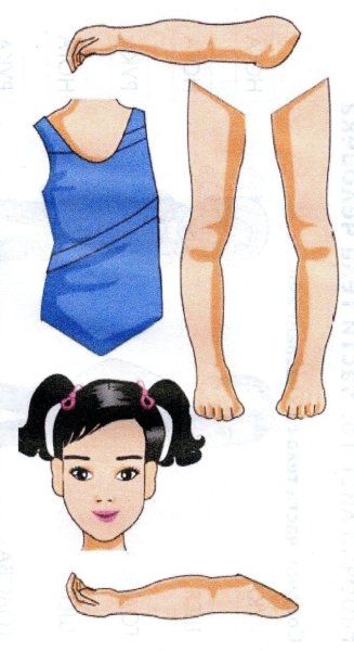 Части тела человека для детей