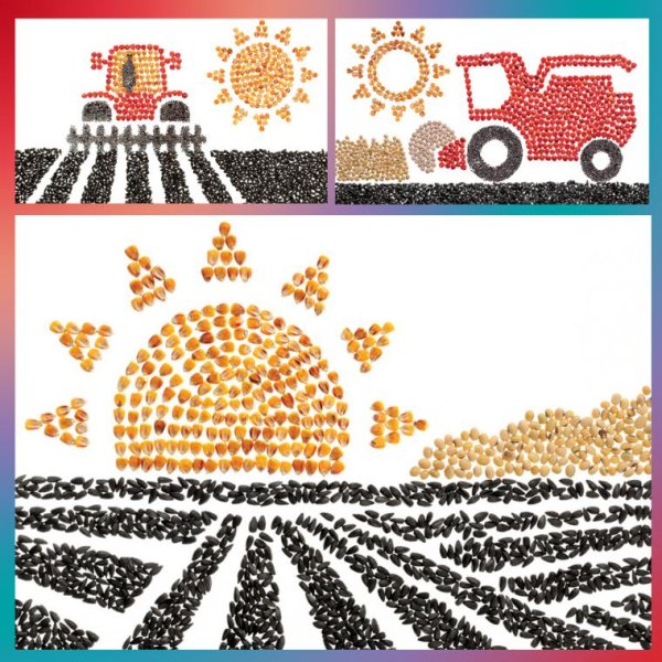 Аппликация на тему сельское хозяйство