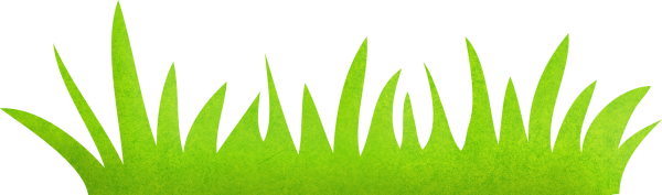 Травка из бумаги для аппликации