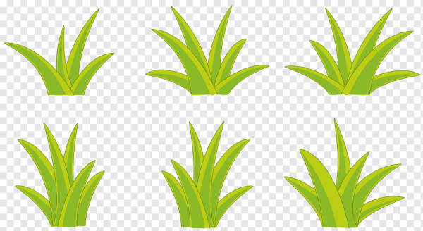 Трава рисунок