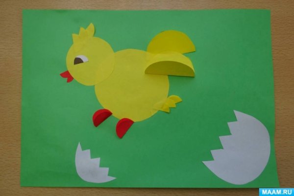 Аппликация домашние птицы