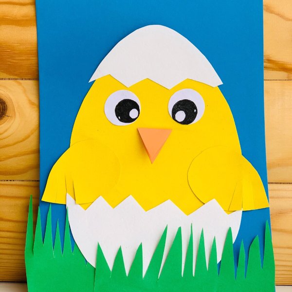 Аппликация цыпленок