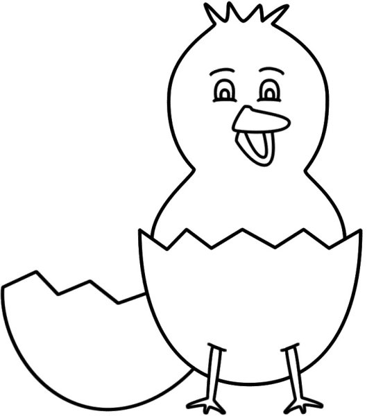 Цыпленок шаблон