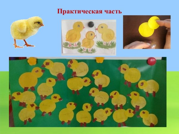 Аппликация 2 младшая тема: «цыплята на лугу».