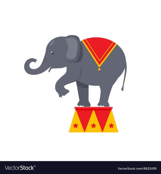Цирковой слон на белом фоне