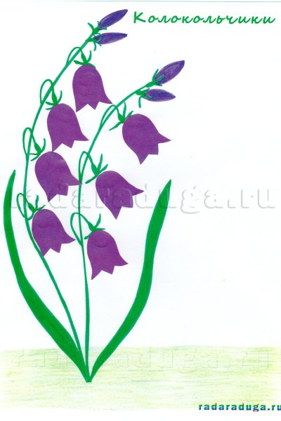 Рисование колокольчик цветок в старшей группе