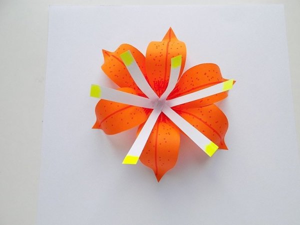 Объемная аппликация "лилии"