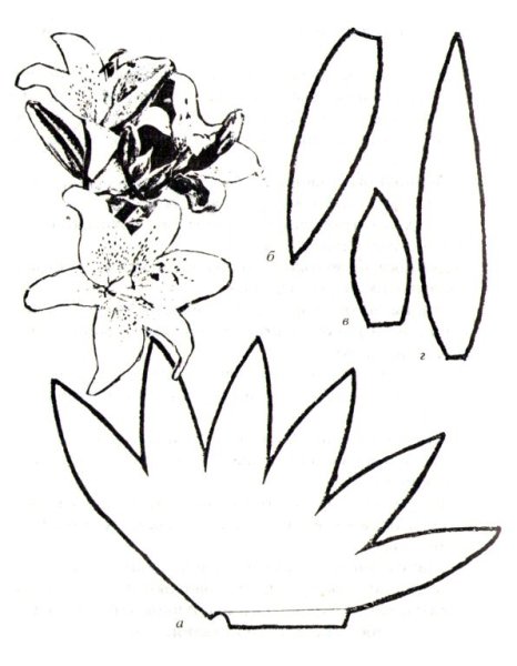 Трафарет цветка лилии из бумаги