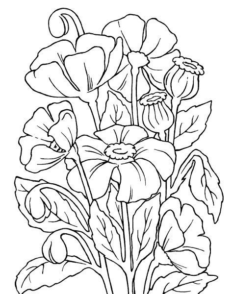 Трафареты для батика цветы