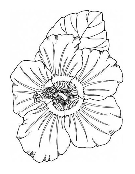 Мак трафарет