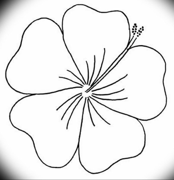 Шаблоны цветов для печати