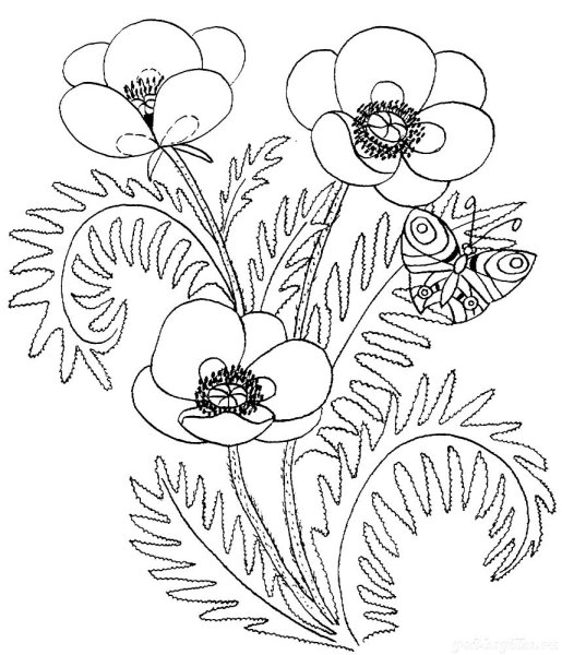 Цветы раскраски для детей 6-7 лет