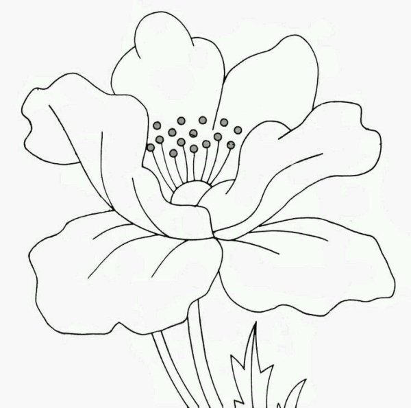 Цветы для рисования