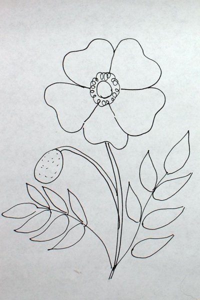 Контур цветов