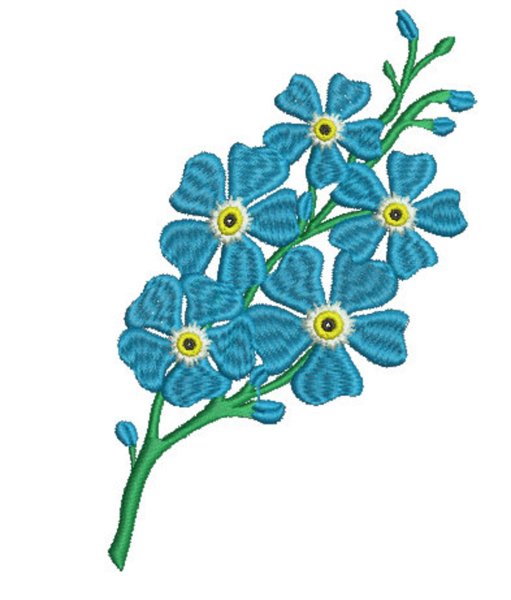 Незабудка карандашом